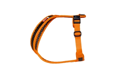 Preview: SOFTY Geschirr - Größe 5 - orange/schwarz